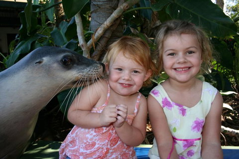 Dolphin Marine Magic - Attractions Perth 0