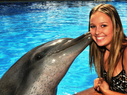 Dolphin Marine Magic - Attractions Perth 3