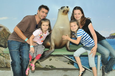 Dolphin Marine Magic - Attractions Perth 6