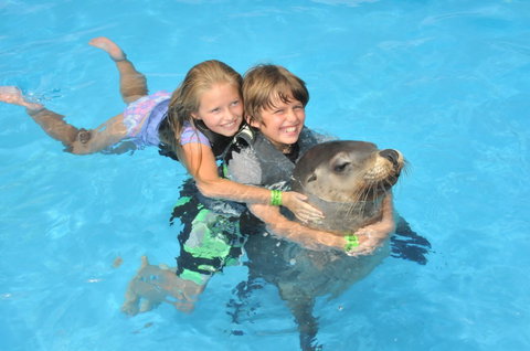 Dolphin Marine Magic - Attractions Perth 9