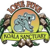 Lone Pine Koala Sanctuary - Attractions Perth