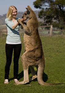 Zoo Doo Wildlife Park - Attractions Perth 5