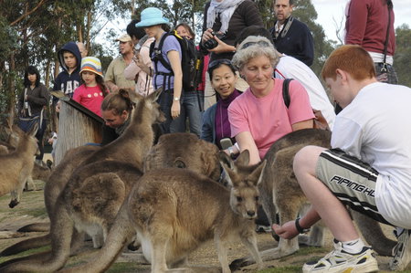 East Coast Natureworld - Attractions Perth 4
