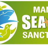 Manly SEA LIFE Sanctuary - Attractions Perth