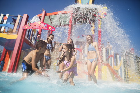 Funfields - Attractions Perth 10