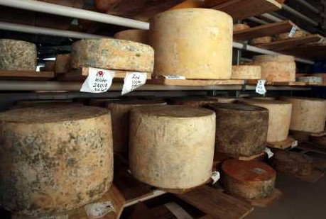 Witches Chase Cheese Co - Attractions Perth 3