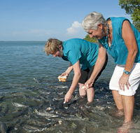 Aquascene Fish Feeding Sanctuary - Attractions Perth