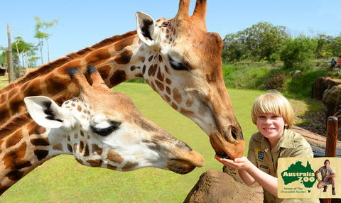Australia Zoo - Attractions Perth 4