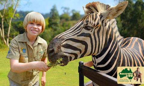 Australia Zoo - Attractions Perth 5