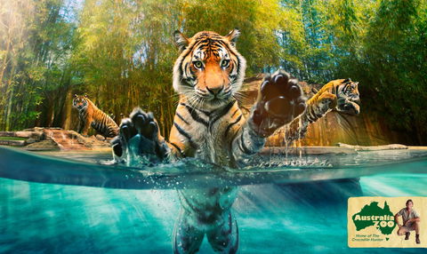 Australia Zoo - Attractions Perth 9