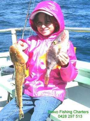 Bravo Fishing Charters - Attractions Perth 5