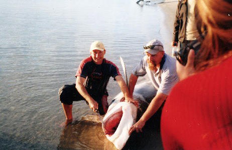 True Blue Fishing Charters - Attractions Perth 1