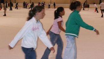 Hunter Ice Stadium - Attractions Perth 4