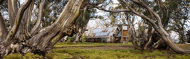 High Country Scenic Tours - Attractions Perth