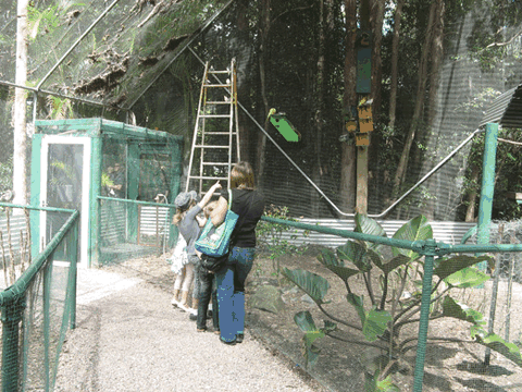 Bellingham Maze - Attractions Perth 7