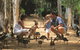 Billabong Sanctuary - thumb 0