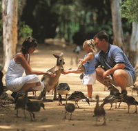 Billabong Sanctuary - Attractions Perth
