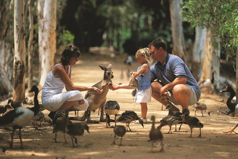 Billabong Sanctuary - Attractions Perth 0