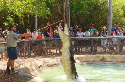 Billabong Sanctuary - Attractions Perth 2