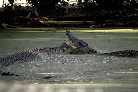 Billabong Sanctuary - Attractions Perth 3