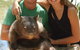Billabong Sanctuary - thumb 5