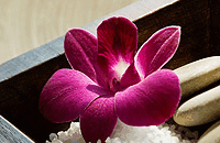 Blush Beauty Saloons - Attractions Perth 4