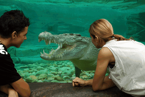 Cairns Wildlife Dome - Attractions Perth 1