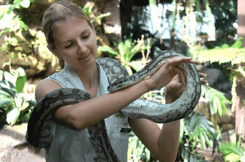 Cairns Wildlife Dome - Attractions Perth 2