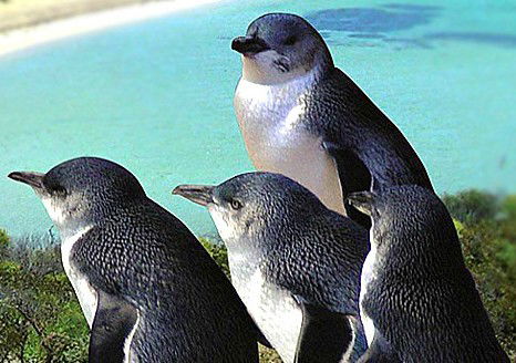  Attractions Perth
