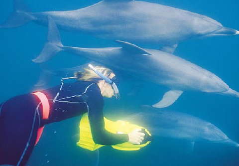 Rockingham Wild Encounters - Attractions Perth 1