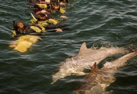 Rockingham Wild Encounters - Attractions Perth 2