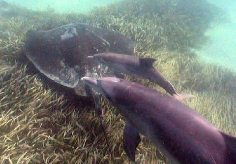 Rockingham Wild Encounters - Attractions Perth 3