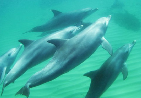 Rockingham Wild Encounters - Attractions Perth 4