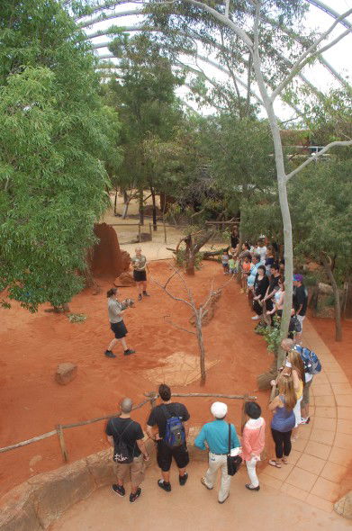 WILD LIFE Sydney Zoo - Attractions Perth 2