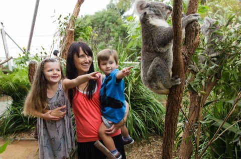 WILD LIFE Sydney Zoo - Attractions Perth 3