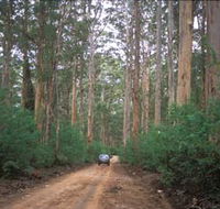 Boranup Drive - Attractions Perth