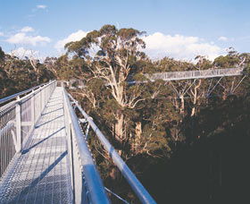  Attractions Perth