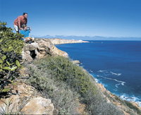 Cape Cuvier Coast