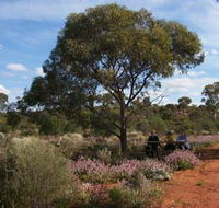 Karlkurla Bushland Park - Attractions Perth