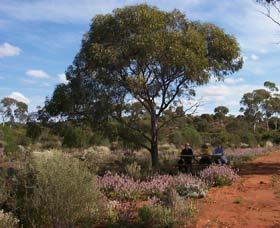 Karlkurla Bushland Park - Attractions Perth 0