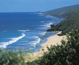 Yallingup Beach - Attractions Perth 0