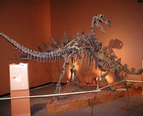 Denmark Dinosaur World - Attractions Perth 0