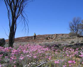 Talgomine Reserve - Attractions Perth 0