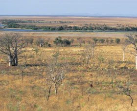 Marglu Billabong - Attractions Perth 0