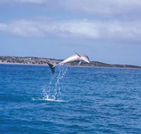 Steep Point - Attractions Perth