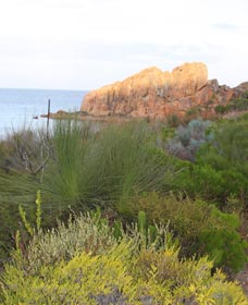 Meelup Trail - Attractions Perth 0