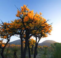 Cape Le Grand National Park - Attractions Perth