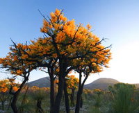 Cape Le Grand National Park