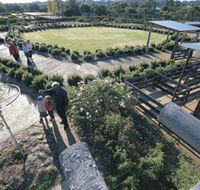Kojonup Rose Maze - Attractions Perth
