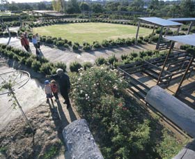 Kojonup Rose Maze - Attractions Perth 0